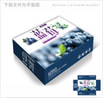 有机蓝莓包装箱包装礼盒设计