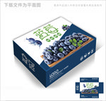 自然好蓝莓包装箱包装礼盒设计