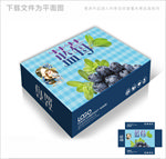 蓝莓时尚包装箱包装礼盒设计