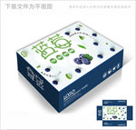绿色蓝莓有机包装箱包装礼盒设计