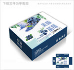 美味蓝莓包装箱包装礼盒设计