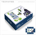 高档蓝莓包装箱包装礼盒设计PS