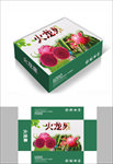 大气火龙果包装箱包装礼盒设计