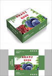 李子蔬菜组合包装箱设计