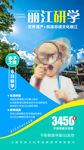 云南丽江暑期亲子旅游广告海报