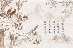 鸟鸣涧玉兰花鸟