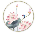 荷花