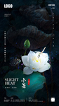 创意小暑节气海报