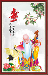 老寿星