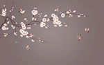 花鸟