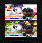 桑葚