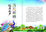 孔雀之乡——西双版纳