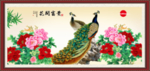 孔雀牡丹图