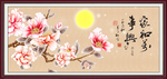 玉兰花