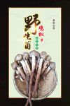 野生菌鸡枞