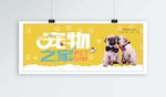 宠物