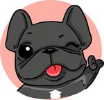 法牛