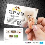 宠物动物塑料PVC双面名片