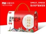 黄冈特产包装盒礼盒设计
