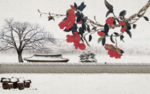 雪