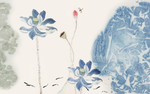 荷花