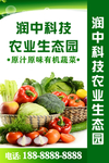 有机农产品灯箱