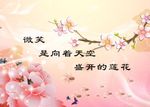 微笑 梅花