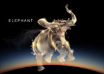大象 elephant 矢量
