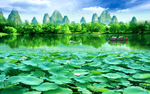 荷花山水背景墙