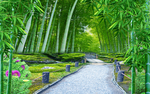 竹林小路背景走道