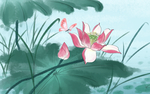中国风荷花工笔画