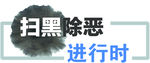 扫黑除恶进行时题花