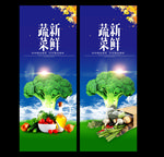 新鲜蔬菜