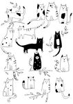 可爱小猫