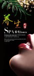 养生spa
