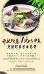 养生甲鱼海报