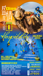 摩洛哥旅游海报
