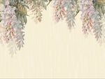 紫藤花