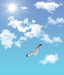 蓝天