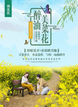 油菜花