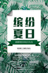 缤纷夏日