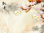 玉兰