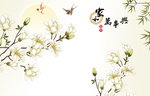 玉兰花