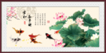 荷花鱼