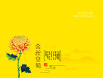 金丝皇菊分层图