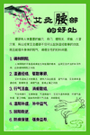 艾灸 腰灸 作用