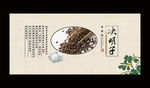决明子