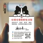 宠物透明塑料PVC名片