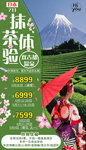 日本抹茶 抹茶体验 旅游 海报