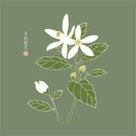 原创手绘橙花矢量线条素材